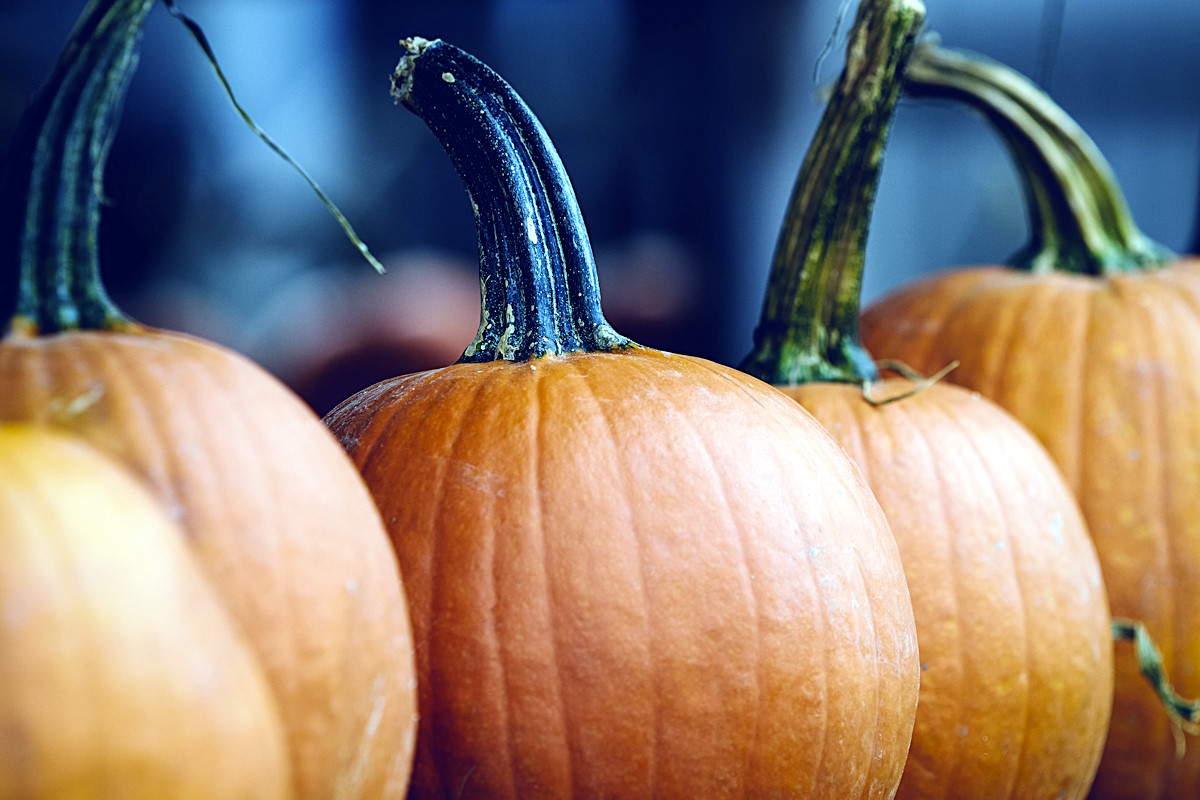 A Group of pumpkins